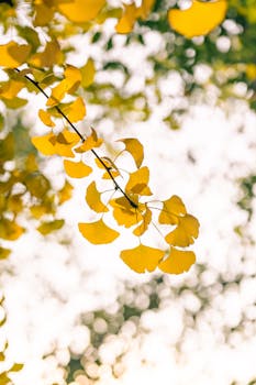 重大变数！特朗普，发出威胁！六大行业，或加征关税！