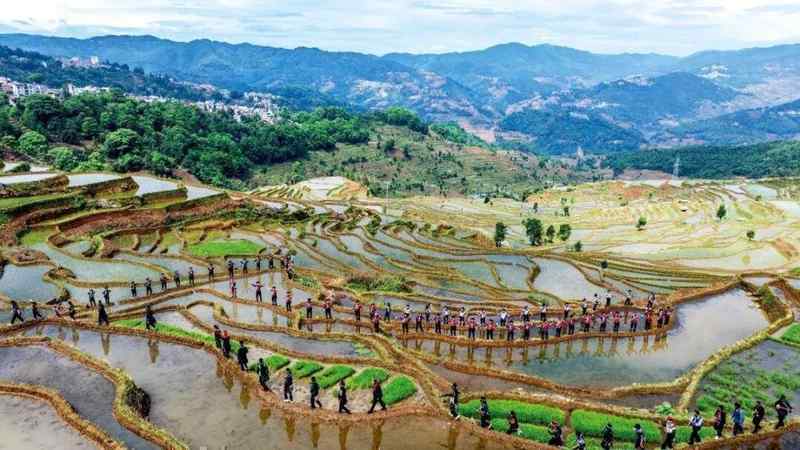  人体样本频现新污染物隐患；生态环境法典强势介入，守护健康与家园。 健康养生