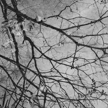  巴菲特传奇成就源于持久坚守；价值投资之道值得深思。 股票财经 巴菲特传奇成就源于持久坚守；价值投资之道值得深思。 股票财经 巴菲特传奇成就源于持久坚守；价值投资之道值得深思。 股票财经 巴菲特传奇成就源于持久坚守；价值投资之道值得深思。 股票财经 巴菲特传奇成就源于持久坚守；价值投资之道值得深思。 股票财经 巴菲特传奇成就源于持久坚守；价值投资之道值得深思。 股票财经