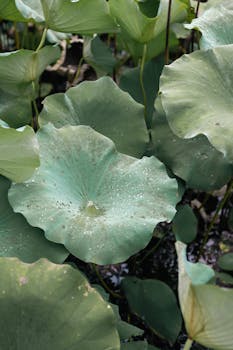  监管新规落地，个人贷款息费须一表明示；美容消费分期乱象有望显著改善。 股票财经 监管新规落地，个人贷款息费须一表明示；美容消费分期乱象有望显著改善。 股票财经 监管新规落地，个人贷款息费须一表明示；美容消费分期乱象有望显著改善。 股票财经