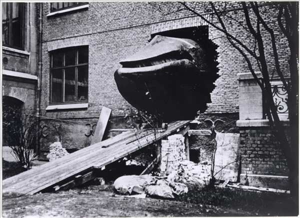  1865年搁浅蓝鲸，如何变身全球唯一完整皮肤标本。 文化旅游 1865年搁浅蓝鲸，如何变身全球唯一完整皮肤标本。 文化旅游