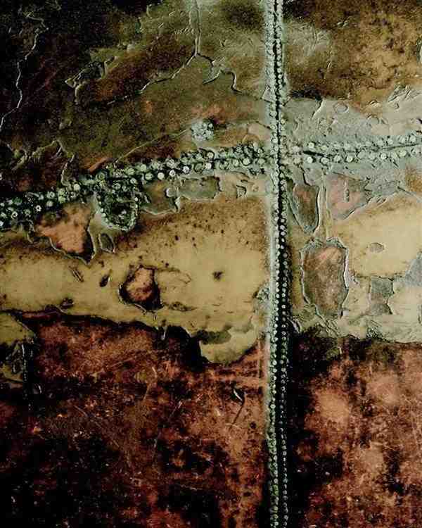  1865年搁浅蓝鲸，如何变身全球唯一完整皮肤标本。 文化旅游 1865年搁浅蓝鲸，如何变身全球唯一完整皮肤标本。 文化旅游