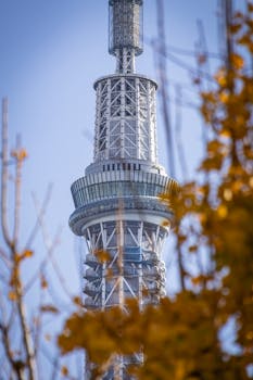 货币干预的误区：日本石油期货策略的本质是资源错配与无效防御 股票财经