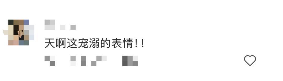 当艺术的边界与父爱交织:为何《太阳之子》成为情感表达的新标杆? 文化旅游