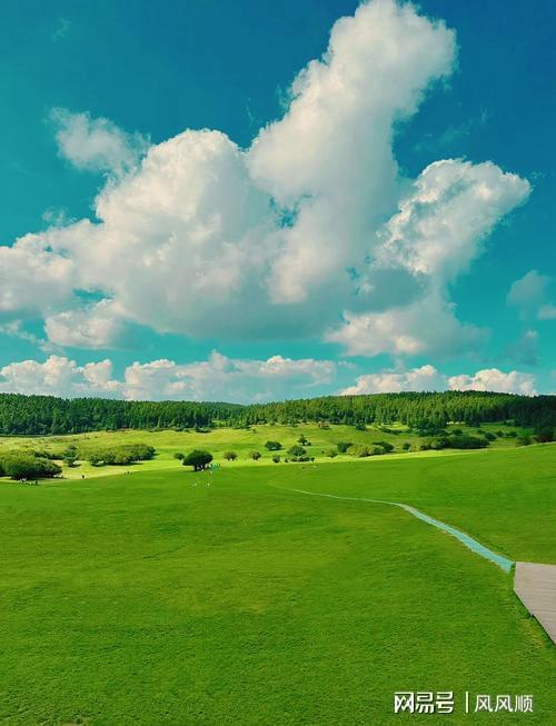 A股市场风险排查指南：从立案到减持的避雷实操策略 股票财经