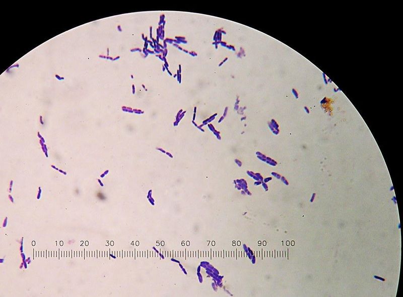 从350万年前永冻土到人类自体:一位俄罗斯科学家的极限抗衰实验全记录 健康养生