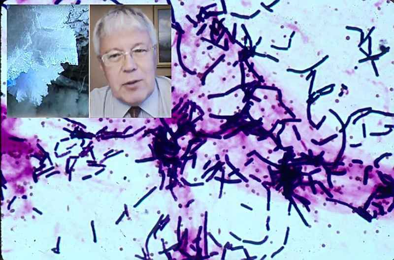 从350万年前永冻土到人类自体:一位俄罗斯科学家的极限抗衰实验全记录 健康养生