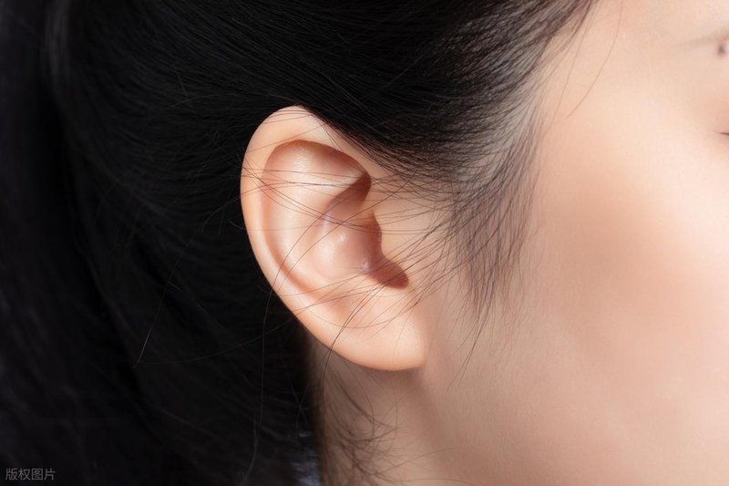  从皮脂腺分泌到脂溢性皮炎：耳缘黄渍的系统性认知与科学应对 健康养生
