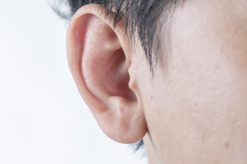  从皮脂腺分泌到脂溢性皮炎：耳缘黄渍的系统性认知与科学应对 健康养生