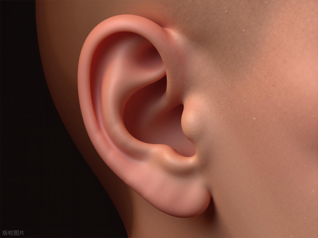  从皮脂腺分泌到脂溢性皮炎：耳缘黄渍的系统性认知与科学应对 健康养生