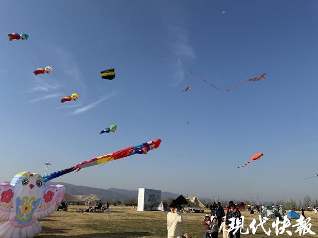 技术视角下的亲子互动：连云港园博园风筝季深度参与指南