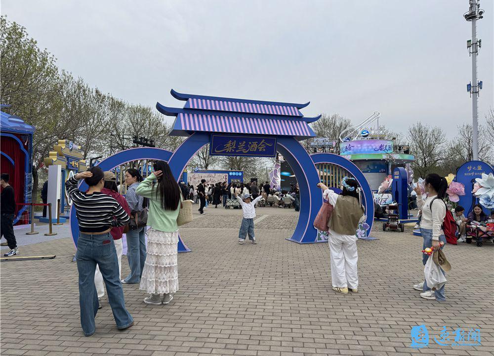 春日花海中的一场醉：一家人的梨兰会记忆