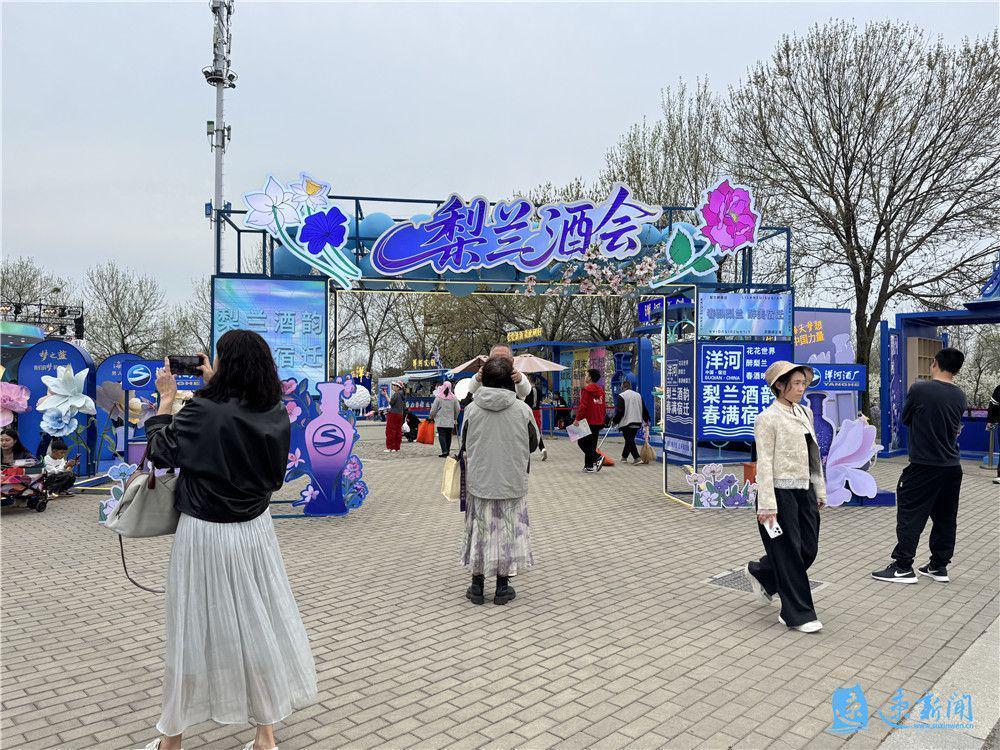 春日花海中的一场醉:一家人的梨兰会记忆 文化旅游