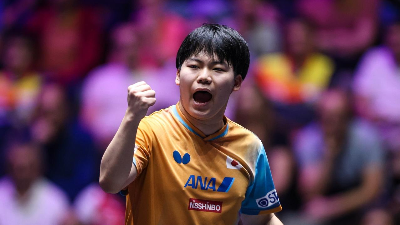  2026澳门世界杯·男单签表深度解析：赛制变量与晋级概率量化评估 体育新闻