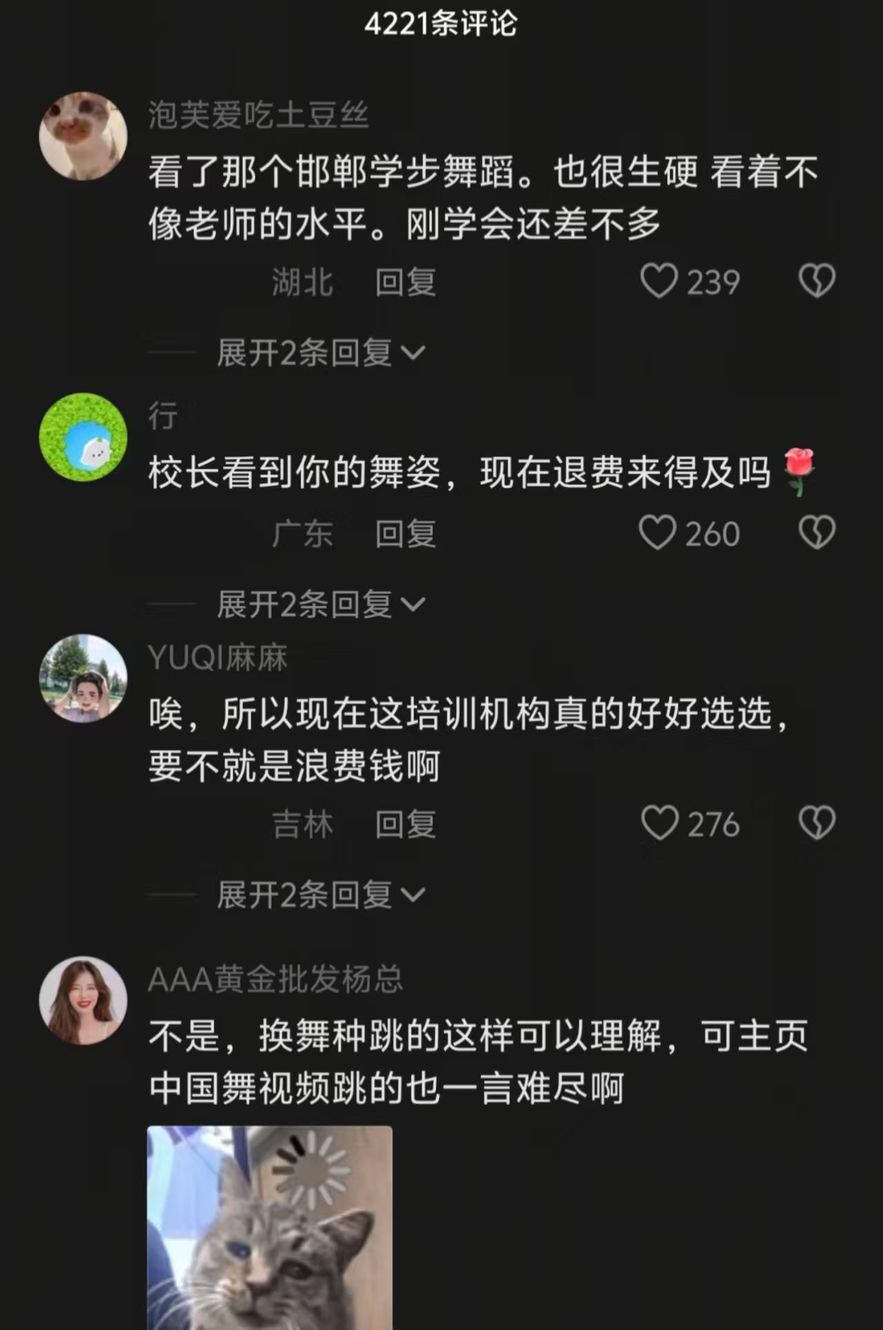  十五年舞蹈教学的专业反思：从全网群嘲事件深度剖析教师核心竞争力 教育招生