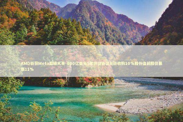 AMD斩获Meta超级大单-600亿美元5年供货协议允许收购10%股份盘前股价暴涨11%