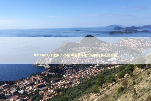 iPhone17e上架了256GB起步不加价这价格买还是不买 新闻