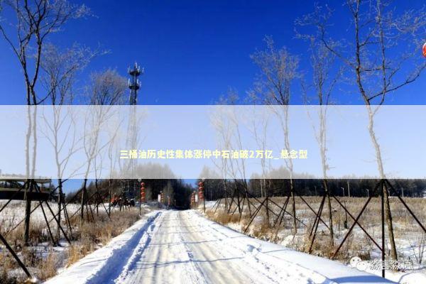 三桶油历史性集体涨停中石油破2万亿_悬念型 新闻