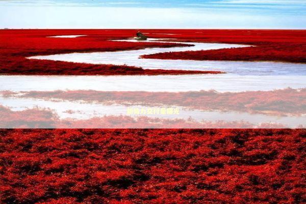 新势力交付量曝光 新闻