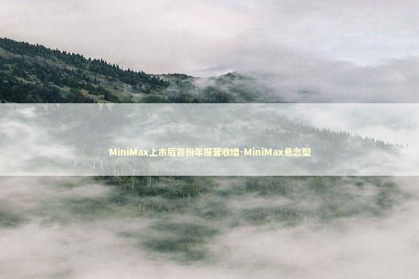 MiniMax上市后首份年报营收增-MiniMax悬念型