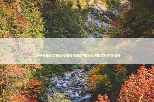 A股半导体公司集体发涨价函最高涨80%存储芯片供需紧张 新闻