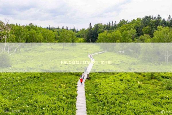 HALO交易走红华尔街_实用型 新闻