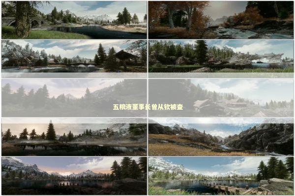 五粮液董事长曾从钦被查 新闻