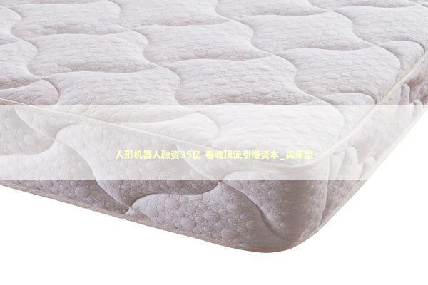 人形机器人融资35亿 春晚顶流引爆资本_实用型 新闻