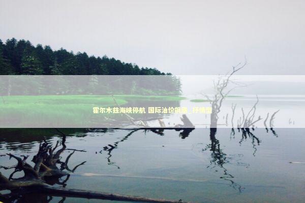 霍尔木兹海峡停航 国际油价飙涨_抒情型 新闻