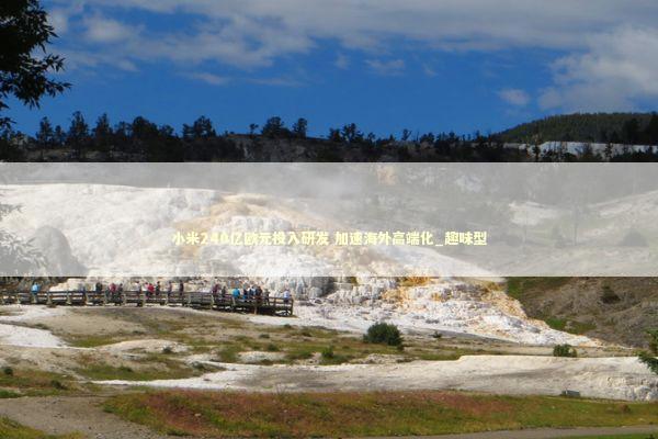 小米240亿欧元投入研发 加速海外高端化_趣味型 新闻