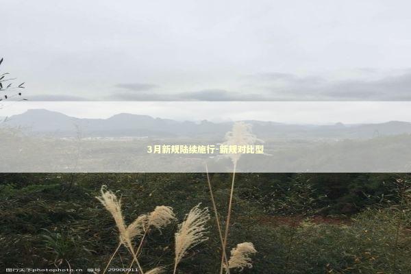 3月新规陆续施行-新规对比型 新闻