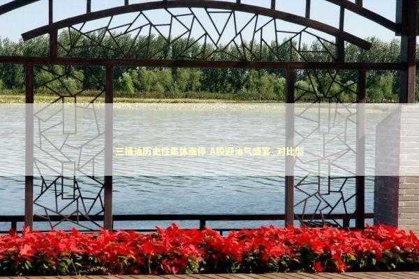 三桶油历史性集体涨停 A股迎油气盛宴_对比型 新闻