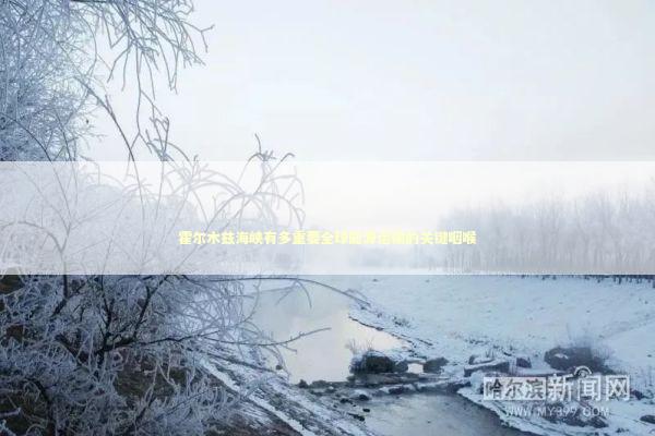 霍尔木兹海峡有多重要全球能源运输的关键咽喉 新闻