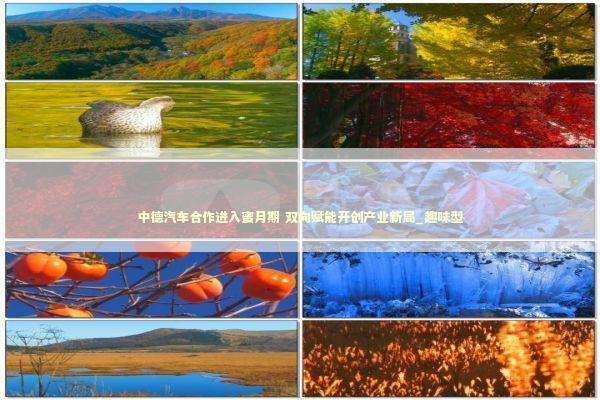 中德汽车合作进入蜜月期 双向赋能开创产业新局_趣味型 中德汽车合作进入蜜月期 双向赋能开创产业新局_趣味型 新闻