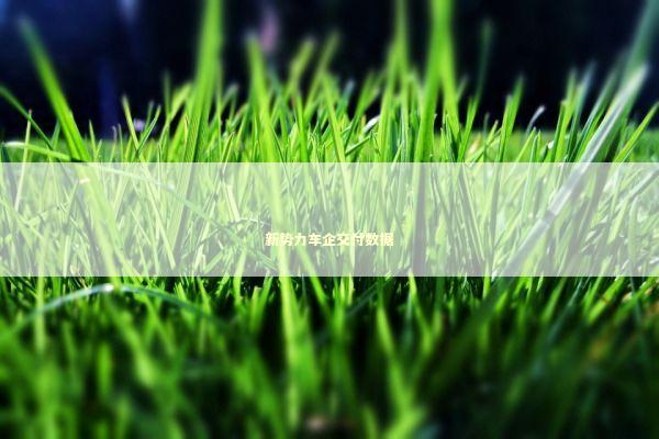 新势力车企交付数据