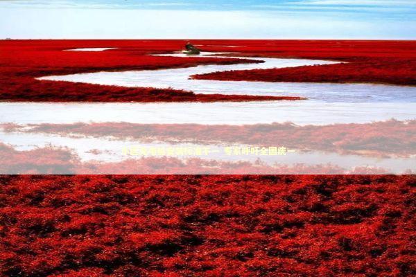 小区充电桩安装标准不一 专家呼吁全国统一 小区充电桩安装标准不一 专家呼吁全国统一 新闻