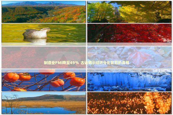 制造业PMI降至49% 古语揭示经济分化背后的真相 新闻