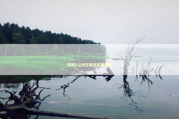深圳3.2万亿投资实用指南 深圳3.2万亿投资实用指南 新闻