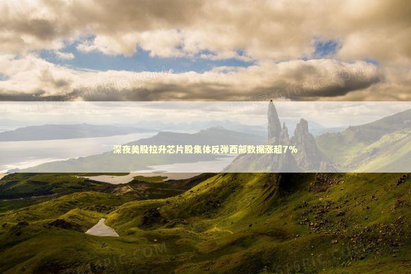 深夜美股拉升芯片股集体反弹西部数据涨超7% 新闻