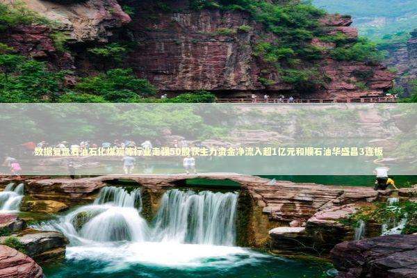 数据复盘石油石化煤炭等行业走强50股获主力资金净流入超1亿元和顺石油华盛昌3连板 新闻