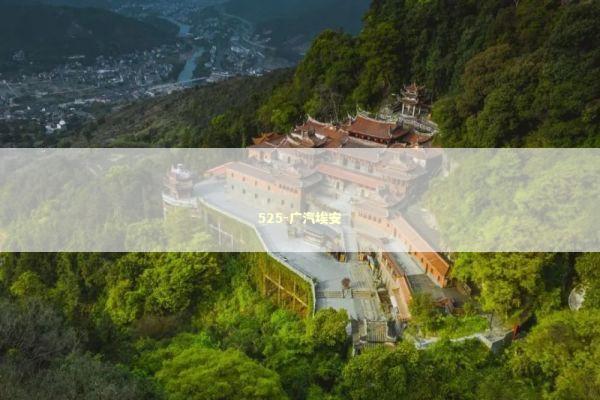 525-广汽埃安 新闻