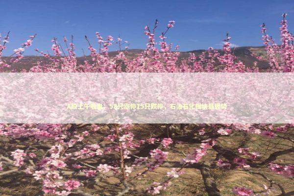 A股上午收盘:58只涨停15只跌停,石油石化板块最强势 A股上午收盘:58只涨停15只跌停,石油石化板块最强势 新闻