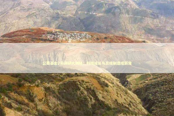 公募基金2月调研大揭秘：科技成长与高端制造成新宠