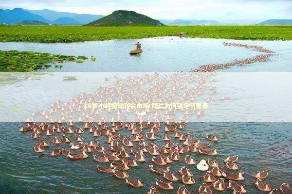 16岁小将搅动转会市场 拜仁为何锁定马里奇 新闻