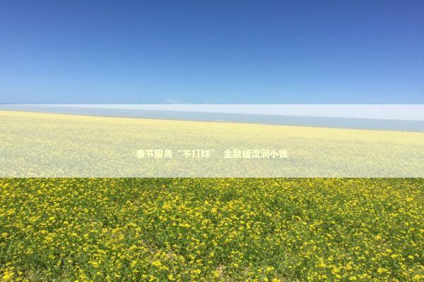 春节服务“不打烊” 金融暖流润小微 新闻