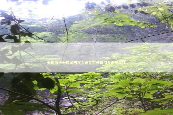 全国政协十四届四次会议在京开幕引发市场关注 新闻