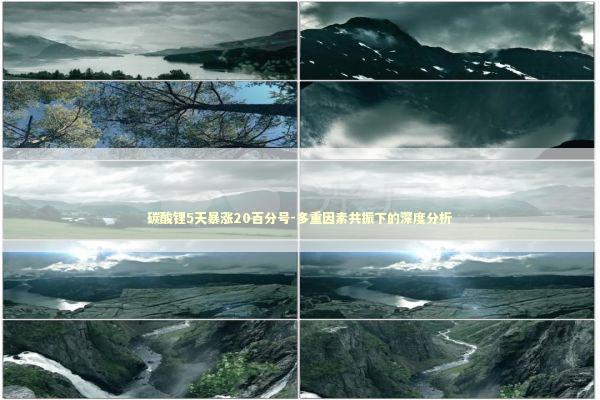 碳酸锂5天暴涨20百分号-多重因素共振下的深度分析 新闻