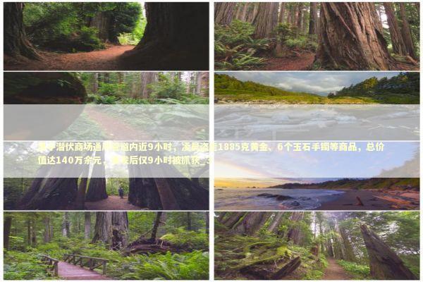 男子潜伏商场通风管道内近9小时，凌晨盗走1885克黄金、6个玉石手镯等商品，总价值达140万余元，案发后仅9小时被抓获_3