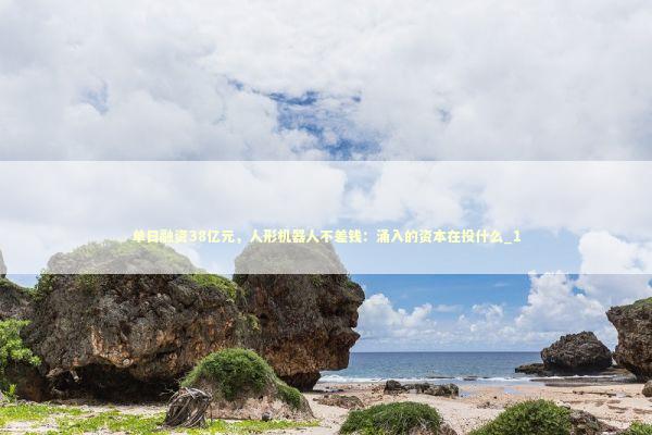 单日融资38亿元，人形机器人不差钱：涌入的资本在投什么_1