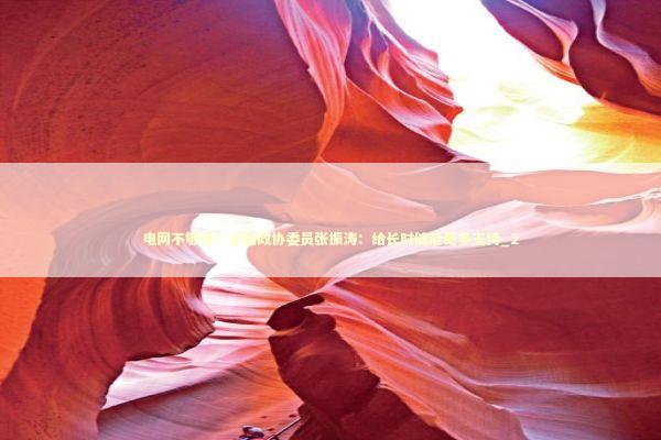 电网不够用？全国政协委员张振涛：给长时储能更多支持_2